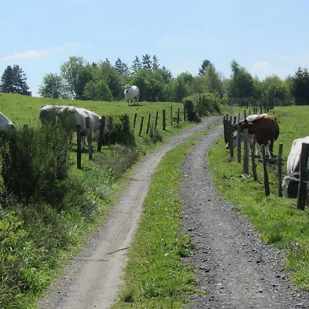 Domek alpejski Les Airelles